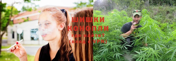 винт Дмитровск